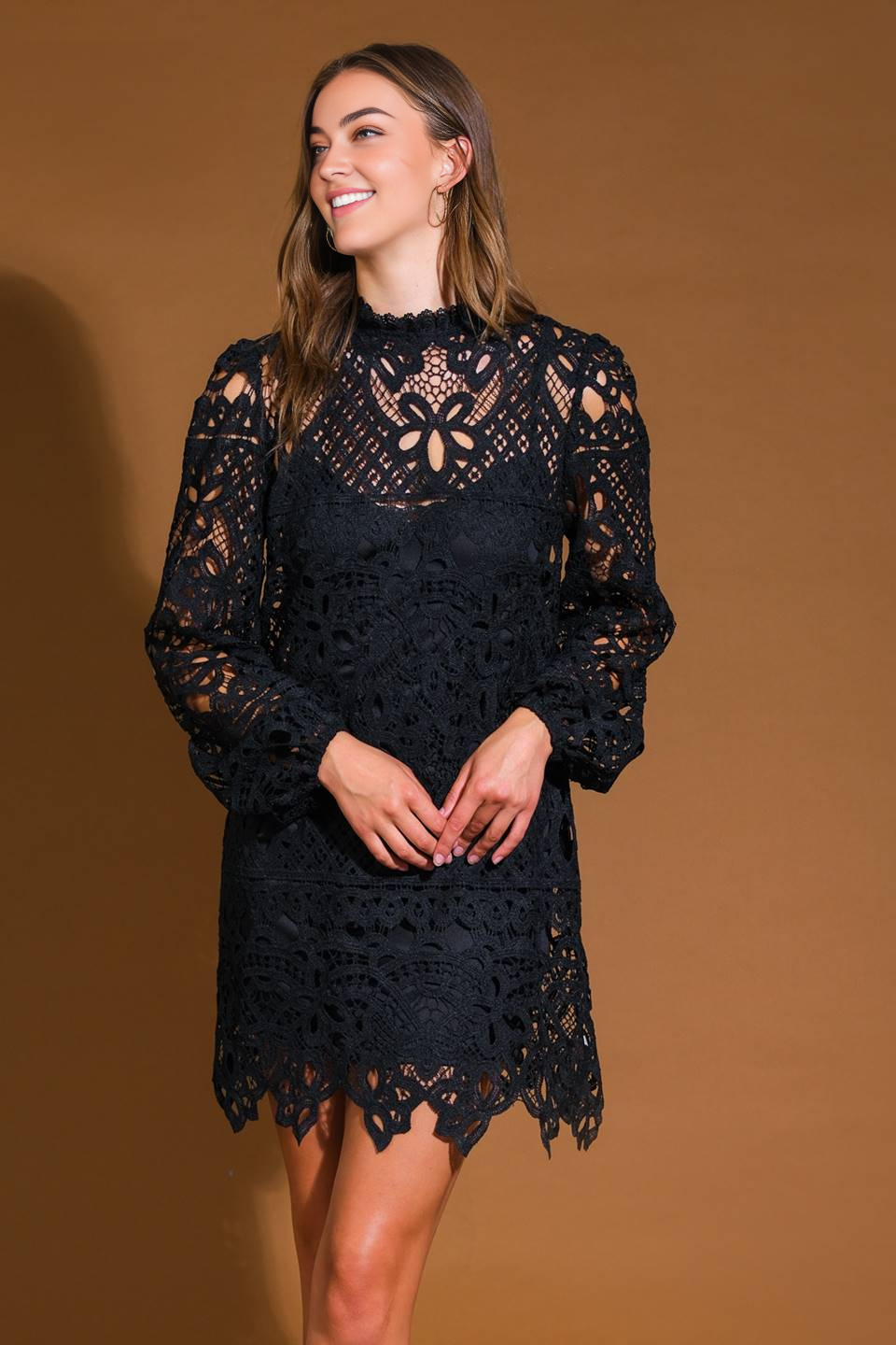 DingJiDress November December Wedding Guest Dress Woven Lace Mini Dress Featuring High Neckline Long Sleeve Back Neck Button Closure Formal Party Dress